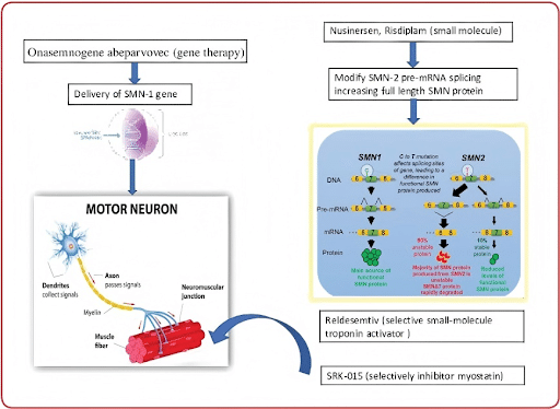 CJC1295_IPA-Mischung_Abb2